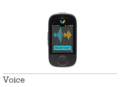 Voice